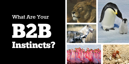What Are Your B2B Instincts?